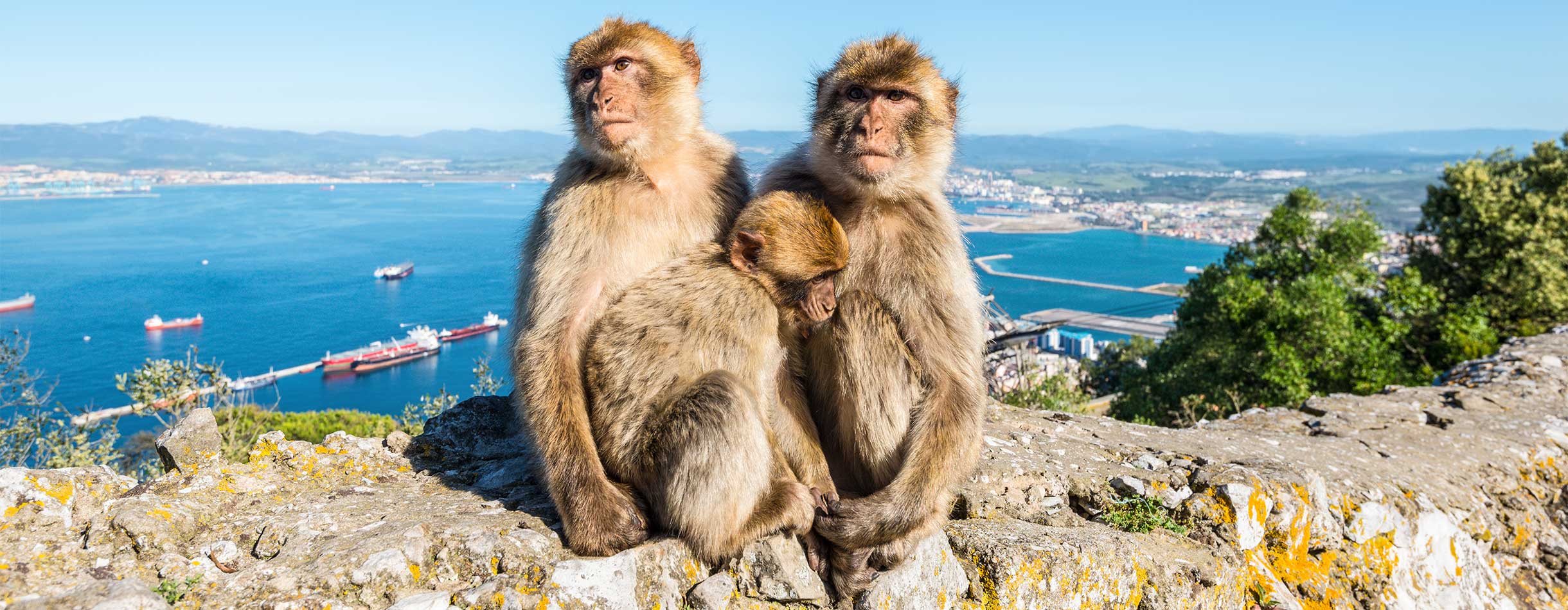 Gibraltar